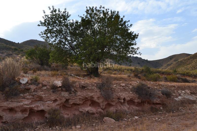 Foto aba9a9c8-1e13-493c-b041-bb9fd98a891e. Mas dans La Hoya Lorca