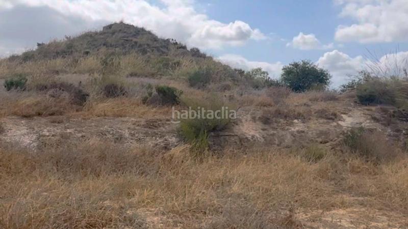 Foto ba05a4b1-0d5e-4557-96af-9b73c265879e. Mas dans La Hoya Lorca