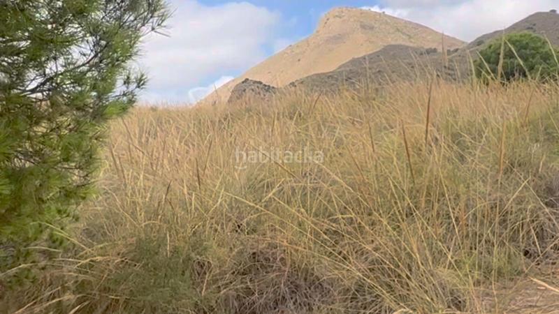 Foto bda4191c-dbaa-4849-a75c-25a9263c660c. Mas dans La Hoya Lorca