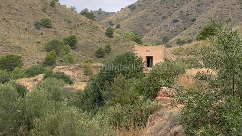 Foto c52f30e6-d5e3-4f87-83c7-dbbe51901dd7. Mas dans La Hoya Lorca