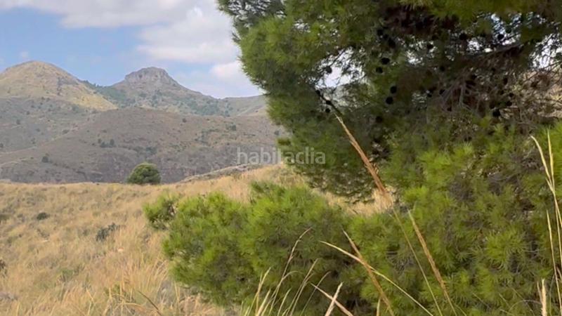 Foto ed254089-781b-4864-ad6d-2ecf169a4b3d. Mas dans La Hoya Lorca