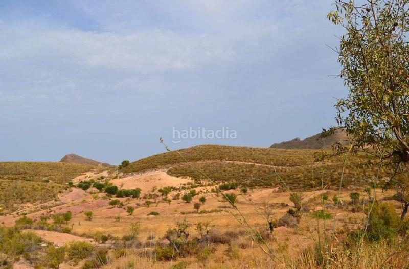 Foto f08b6caa-deca-4409-890c-62479726435d. Mas dans La Hoya Lorca