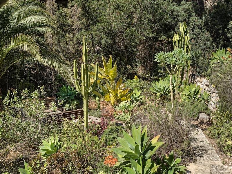 Foto 957081a7-bd38-44ac-9605-0cd8fb59ca69. Chalet con parcheggio piscina in Es Camp de Mar Andratx