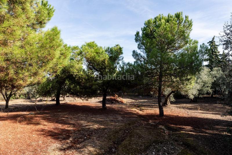 Foto c6f47c03-8c67-41a2-8dd8-46b367d8c6c4. Chalet en Los Cigarrales-La Bastida Toledo