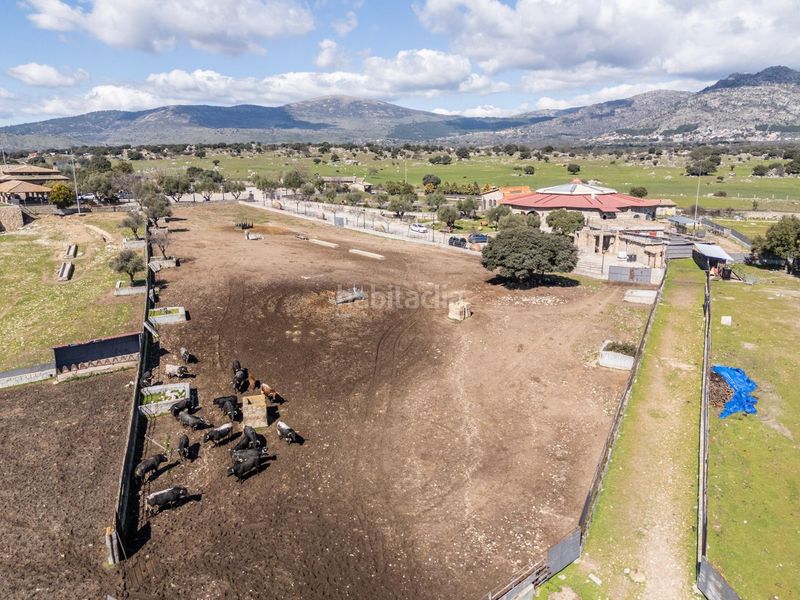 Foto 19cba020-8c64-430c-b1be-c8fc73aee7d4. Finca rústica a Robledo de Chavela