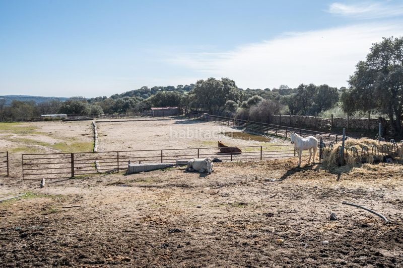 Foto 1f80f9fa-c4bc-484e-950b-bfbdd0b4e6c1. Finca rústica a Robledo de Chavela