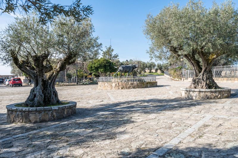 Foto 20250ffa-77cf-440e-b896-e9a66557b8a1. Finca rústica a Robledo de Chavela