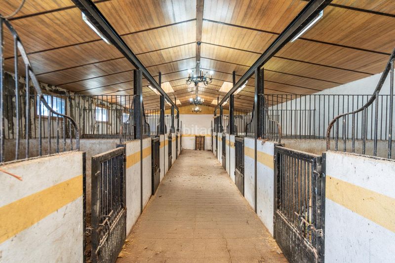 Foto 3c03292e-9fde-4e56-8fd6-caf0f6eb787b. Finca rústica a Robledo de Chavela