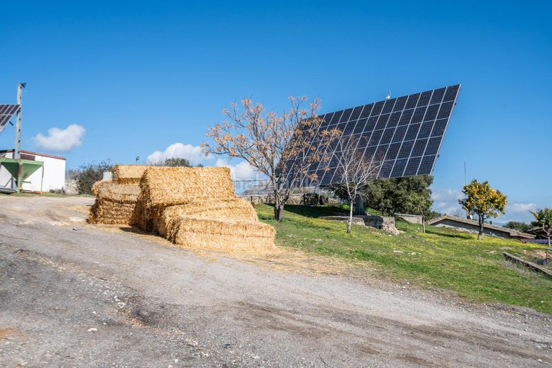 Foto dd89e13f-5f9c-4e0d-aaf4-0f0c75566a96. Finca rústica a Robledo de Chavela