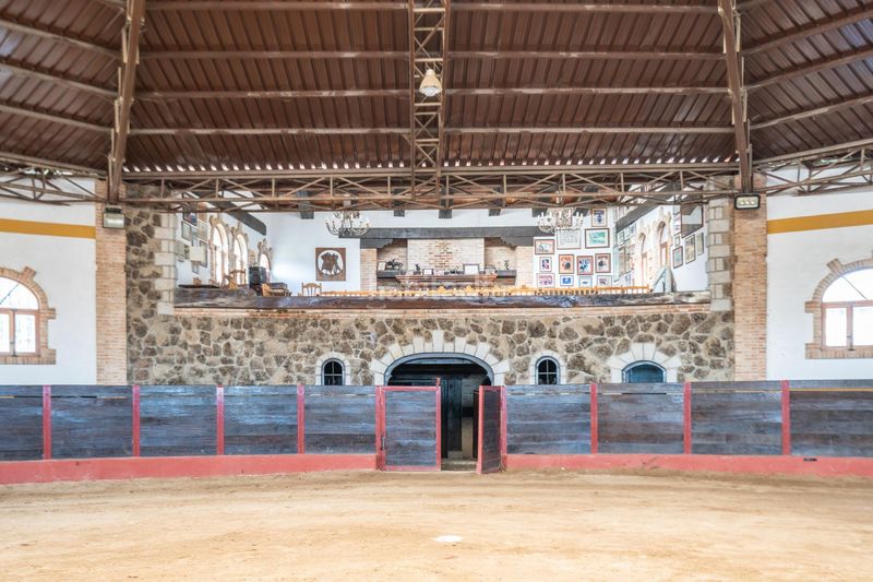 Foto e6b39dbf-5449-43b0-8d9f-0d9b9ff34fa0. Finca rústica a Robledo de Chavela