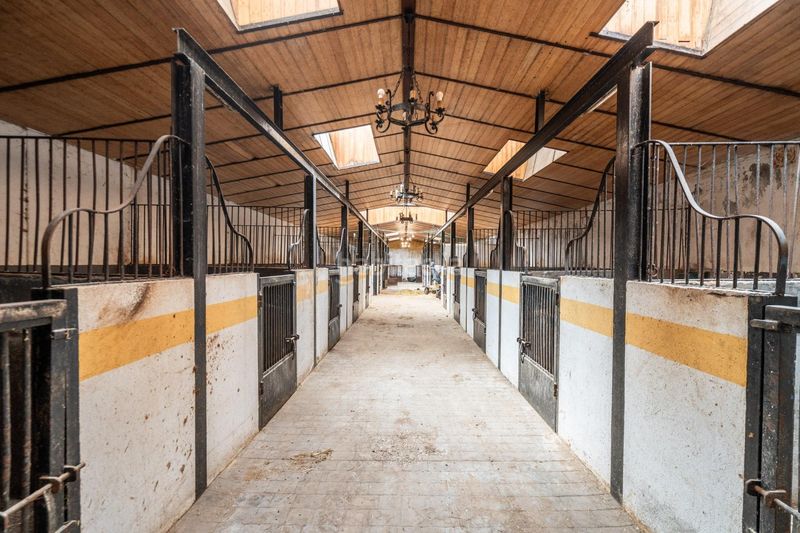 Foto 976456a1-ac5d-4f8e-8bda-20194ddae3bb. Finca rústica a Robledo de Chavela