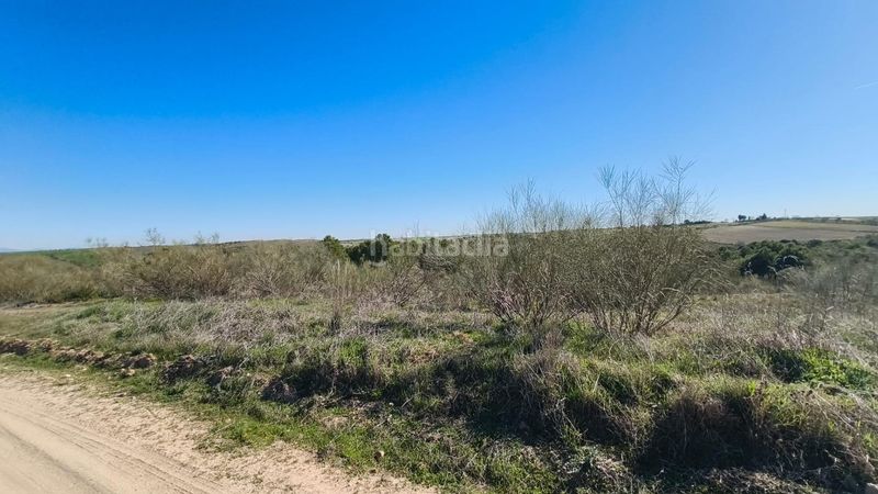 Foto b2537bf6-43e5-4eb2-a669-bedb68006ef9. Finca rústica a Viso de San Juan (El)