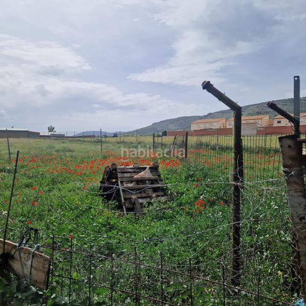 Foto 04bd95eb-cb6c-4afe-b9b8-9a7d70555290. Finca rústica a Yébenes (Los)