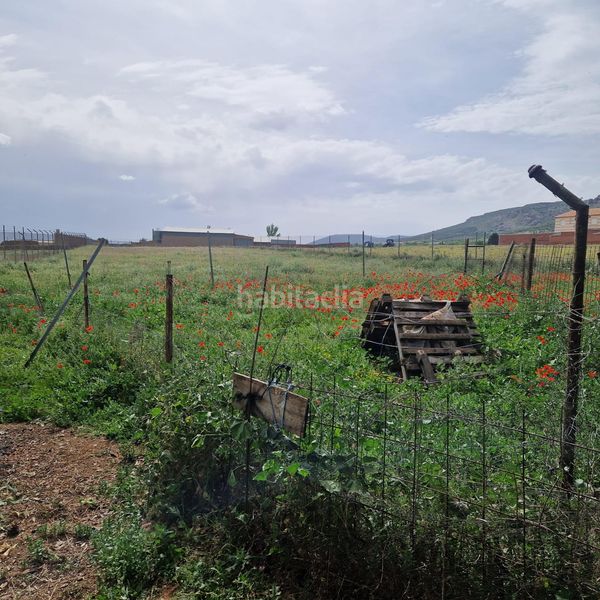 Foto 2d5a8788-945d-4d6a-bdf2-81dd2e1a36e8. Finca rústica a Yébenes (Los)