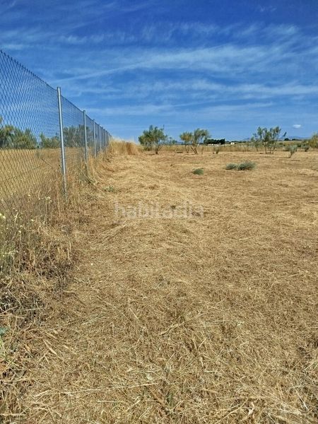Foto 1ee67c94-5203-4b8b-b641-187a900ab8d5. Finca rústica a Montecarmelo Madrid