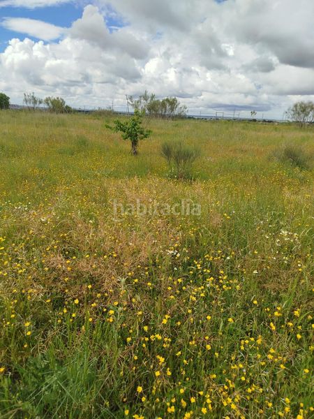 Foto 22bc88b3-c881-4646-8f0a-6004c68d0cca. Finca rústica a Montecarmelo Madrid