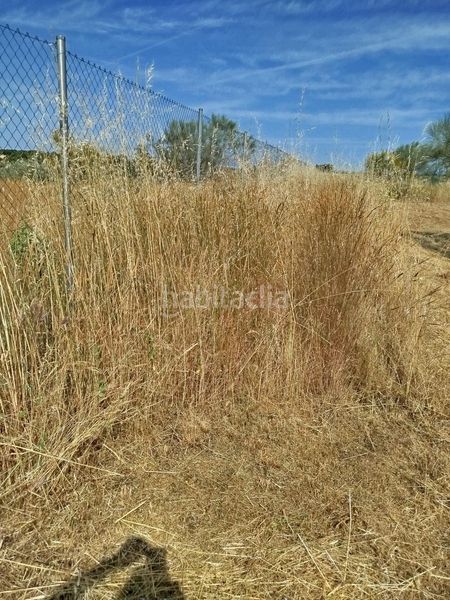 Foto 2af7eb20-a138-4030-8c6e-632fdb1d5ac4. Finca rústica a Montecarmelo Madrid