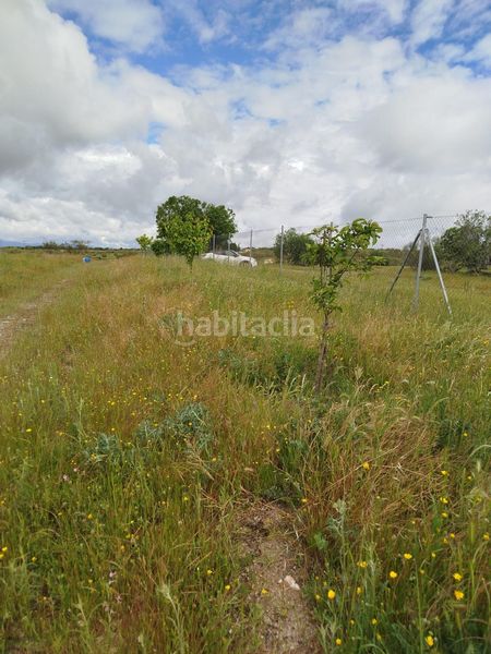 Foto b4b747ae-03e6-43c1-8b09-a77e750287f3. Finca rústica a Montecarmelo Madrid
