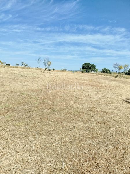 Foto c000d5d1-af74-4fda-b99c-008b5c9c9fe8. Finca rústica a Montecarmelo Madrid