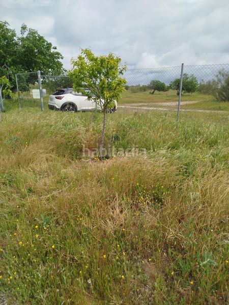 Foto dfef5acc-407b-4854-b7b2-fd10c7df4396. Finca rústica a Montecarmelo Madrid