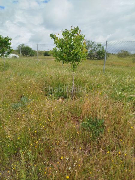 Foto f571174d-9ac6-4919-9bdf-9a6697444067. Finca rústica a Montecarmelo Madrid