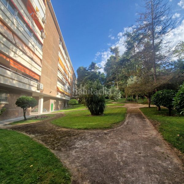 Foto 6a3b65ee-68c1-4a9c-9ecc-636081ff5c14. Pis amb calefacció aparcament piscina a Palomas Madrid