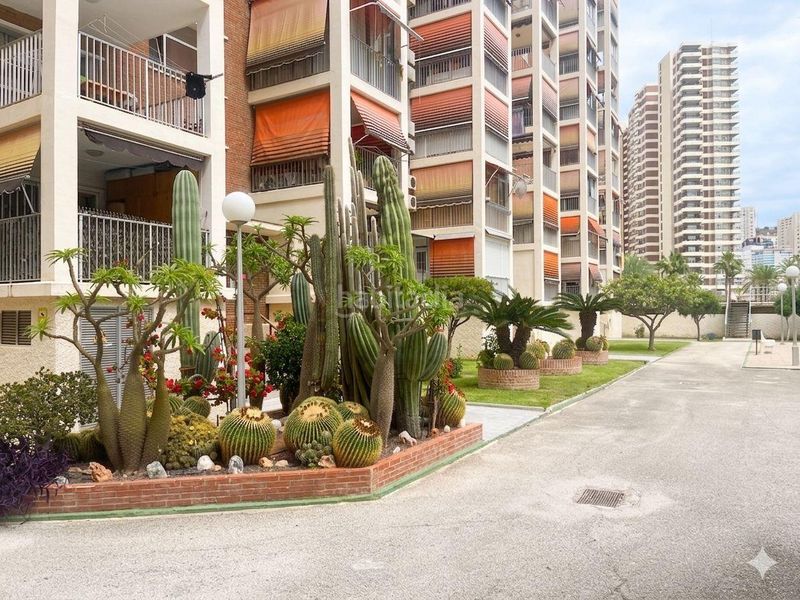 Foto 86e215fd-0658-4aaa-9a74-feebdadbe51e. Apartament amb aparcament piscina a Rincón Bajo Benidorm