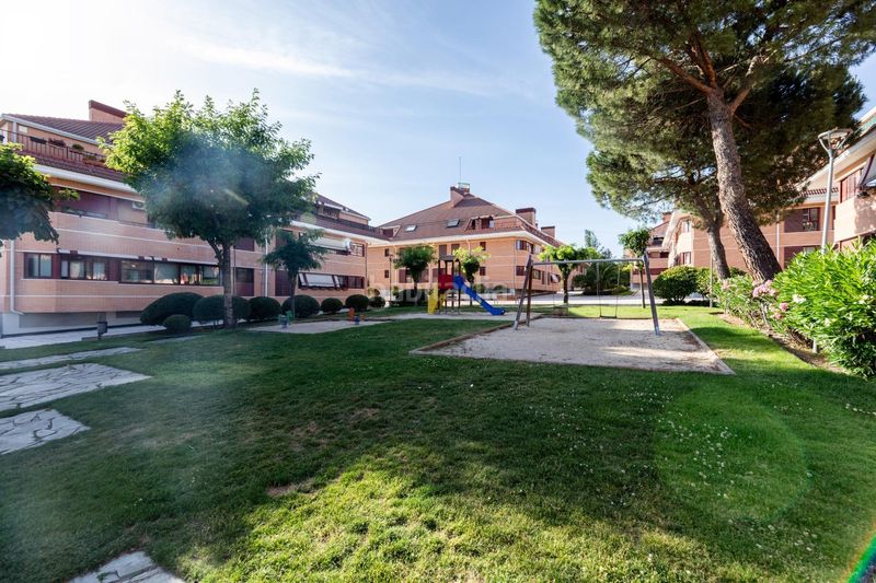 Foto ed6d351c-e18d-417e-824d-db79b74ca97a. Àtic amb calefacció aparcament piscina a El Pinar-Punta Galea Rozas de Madrid (Las)