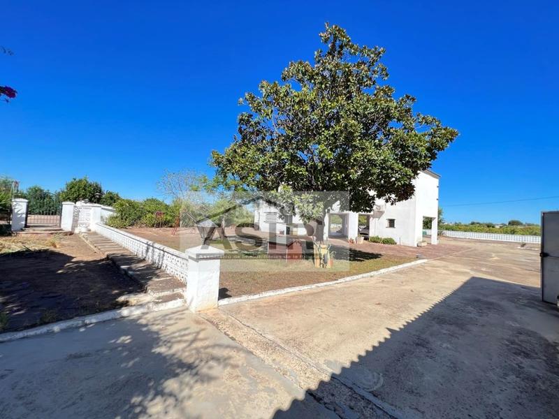 Foto 4925efa8-7ec6-4ecb-97d5-f1f85e9a1430. Chalet with parking pool in Urbanitzacions i Pedanies Nord Alzira