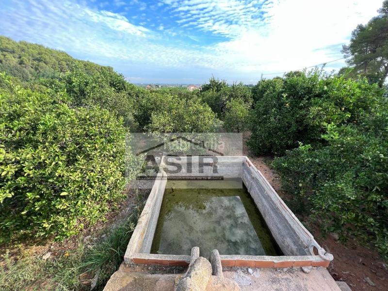 Foto 01d34a33-c975-4e4c-a982-dace012e3b1f. Chalet mit parking in Urbanitzacions i Pedanies Nord Alzira