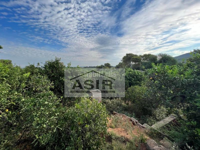 Foto 0b40ee9d-492b-478c-a8d7-c44b5786f389. Chalet mit parking in Urbanitzacions i Pedanies Nord Alzira