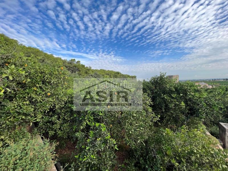 Foto 69e20839-ac9a-4b00-8ed9-6f939c50a3d1. Chalet mit parking in Urbanitzacions i Pedanies Nord Alzira