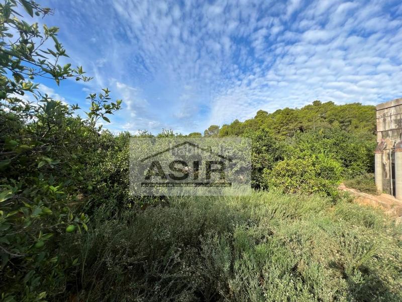 Foto 9971719b-9cd9-4cf9-9aad-ffc5fbfa1cf5. Chalet mit parking in Urbanitzacions i Pedanies Nord Alzira