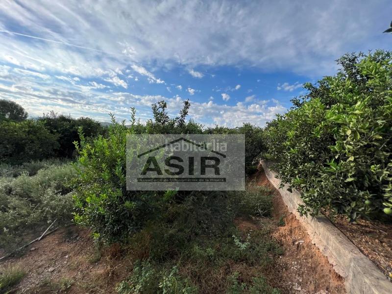 Foto bf2786cf-2f44-4504-9d31-c65bdf46e6a7. Chalet mit parking in Urbanitzacions i Pedanies Nord Alzira