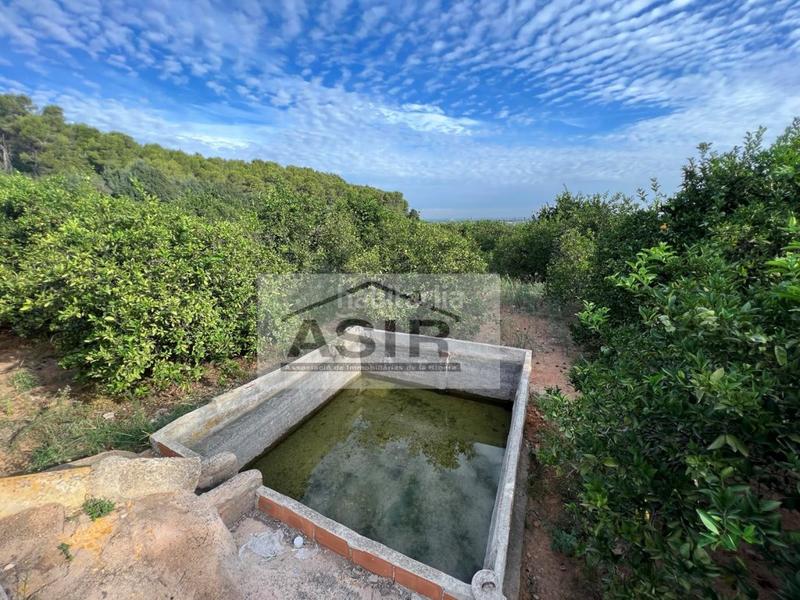 Foto fd418aaa-3d6b-4c45-9886-023088786a1d. Chalet mit parking in Urbanitzacions i Pedanies Nord Alzira