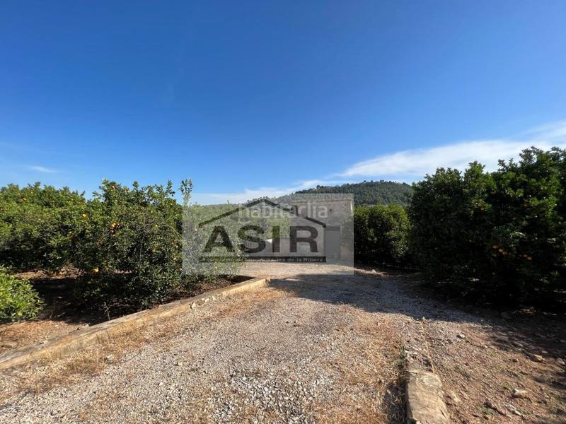 Foto 131a3579-9806-4a8a-9bb7-66f96e20677f. Chalet in Urbanitzacions i Pedanies Sud Alzira