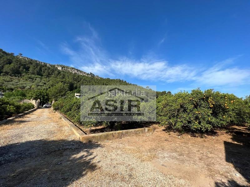 Foto 34f6cb09-e5a1-4321-a5b2-29206a8906da. Chalet in Urbanitzacions i Pedanies Sud Alzira