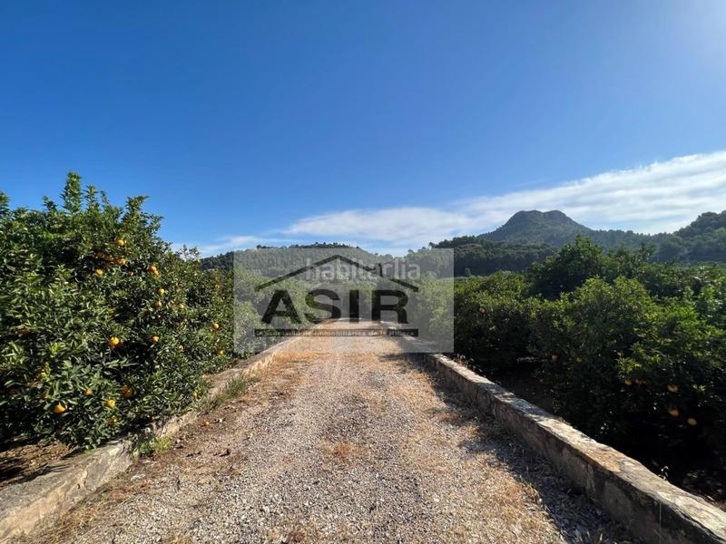 Foto 37be0d55-d809-440c-8d70-3b1fff068c0f. Chalet in Urbanitzacions i Pedanies Sud Alzira