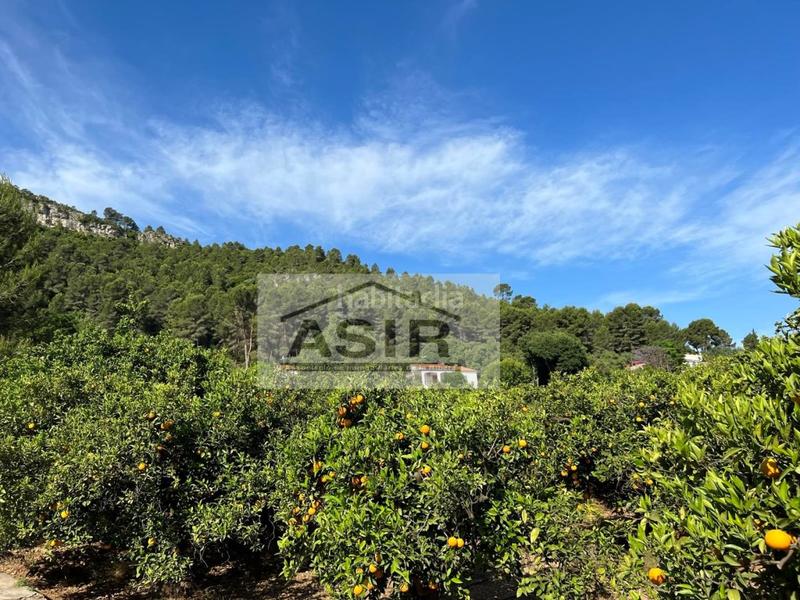 Foto 42219747-252f-4153-8a15-c96c33b7029c. Chalet in Urbanitzacions i Pedanies Sud Alzira