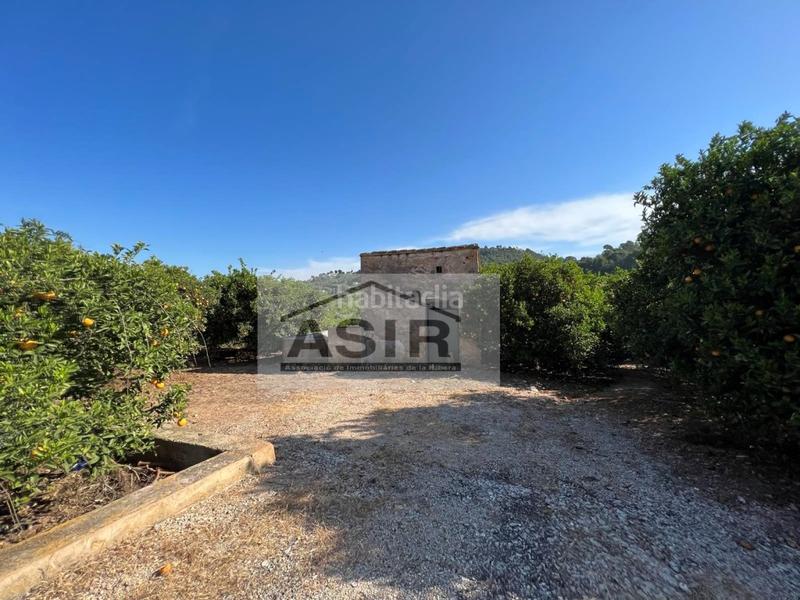 Foto 53b72a69-1b7a-4d7e-a503-3de560fddaf5. Chalet in Urbanitzacions i Pedanies Sud Alzira