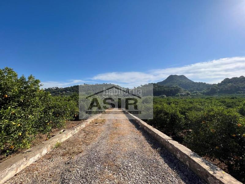 Foto cea3f6bf-d034-4a9e-838e-b0d5e084fd79. Chalet in Urbanitzacions i Pedanies Sud Alzira