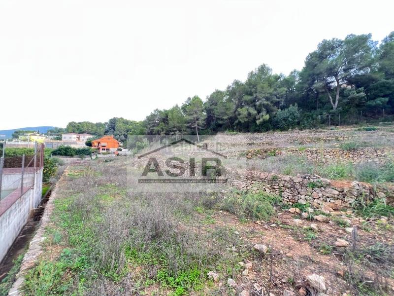 Foto 6cb7f5f4-fed7-42e7-a140-7625d5f00d08. Terreny residencial a Urbanitzacions i Pedanies Nord Alzira