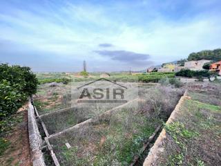 Terrain résidentiel à Urbanitzacions i Pedanies Nord. Suelo rustico venta alzira