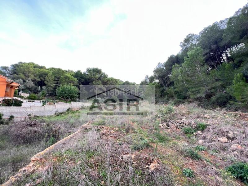 Foto c3d076bf-2ac8-4971-b748-fd6ede7864bb. Terreny residencial a Urbanitzacions i Pedanies Nord Alzira