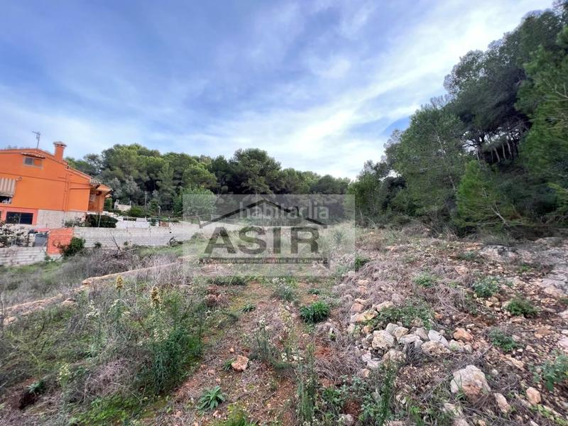 Foto c59c3373-2045-4d3a-a766-141fc9186503. Terreny residencial a Urbanitzacions i Pedanies Nord Alzira