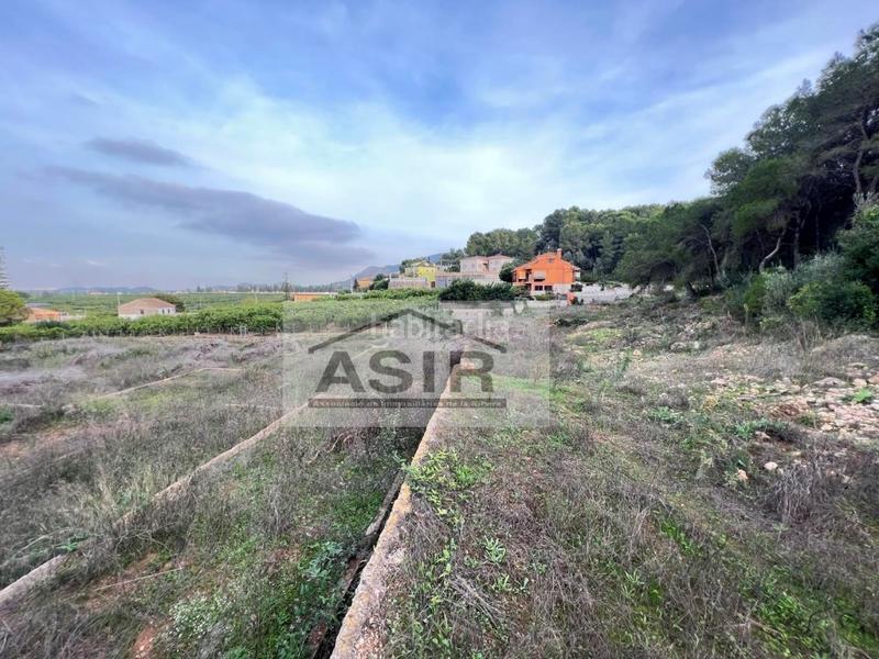 Foto d0308c19-2c86-4e3a-8f8b-170eeb0f60fa. Terreny residencial a Urbanitzacions i Pedanies Nord Alzira