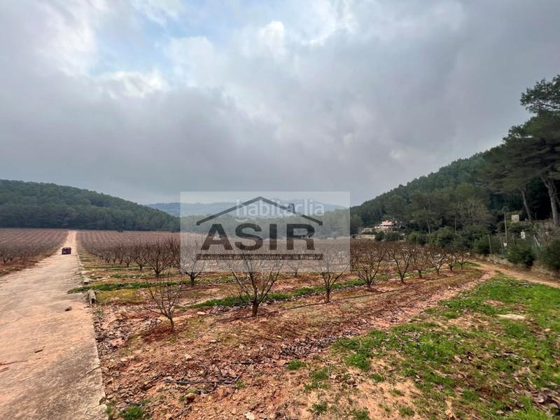 Foto 0ff6d54f-58e2-4482-9982-0ecd067e7a01. Chalet con parcheggio in Urbanitzacions i Pedanies Sud Alzira