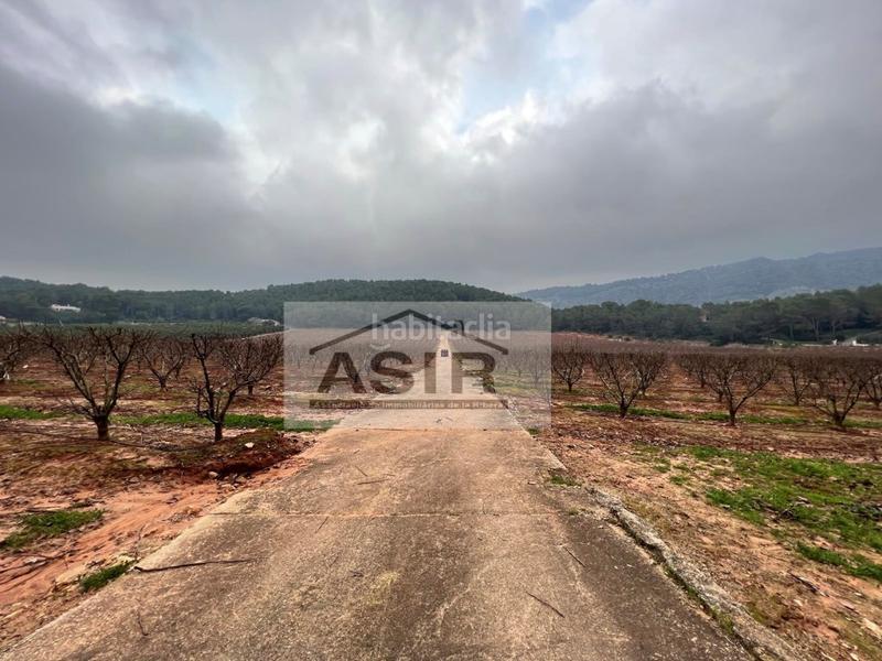 Foto 2c417ad4-6564-43e3-aa88-56de7d4706d4. Chalet con parcheggio in Urbanitzacions i Pedanies Sud Alzira