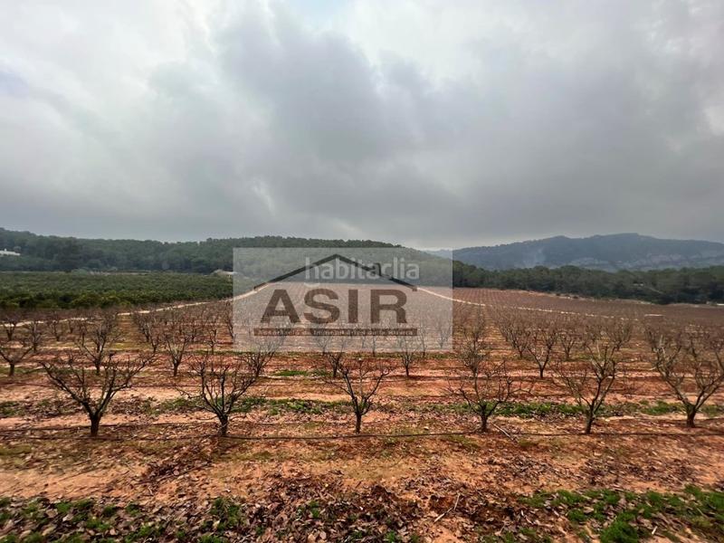 Foto 450bec35-1e28-4c68-be10-0d36cddddfa0. Chalet con parcheggio in Urbanitzacions i Pedanies Sud Alzira