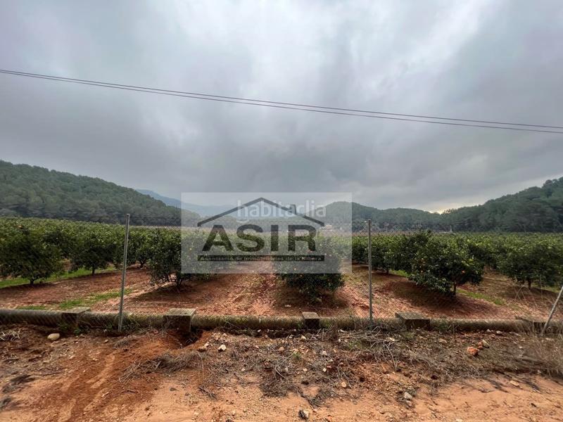 Foto 4f7a1230-8f87-4180-ab7c-0024383b31d0. Chalet con parcheggio in Urbanitzacions i Pedanies Sud Alzira